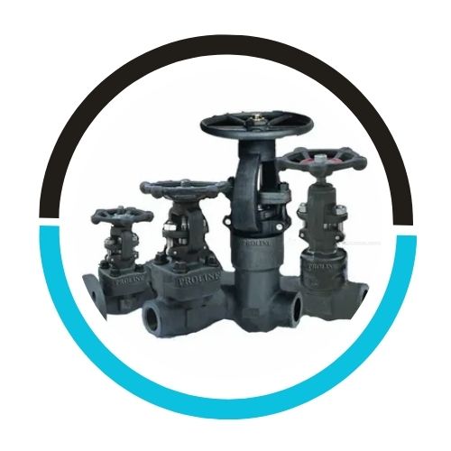 ASTM a216 GR WCB Gate Valve in UAE