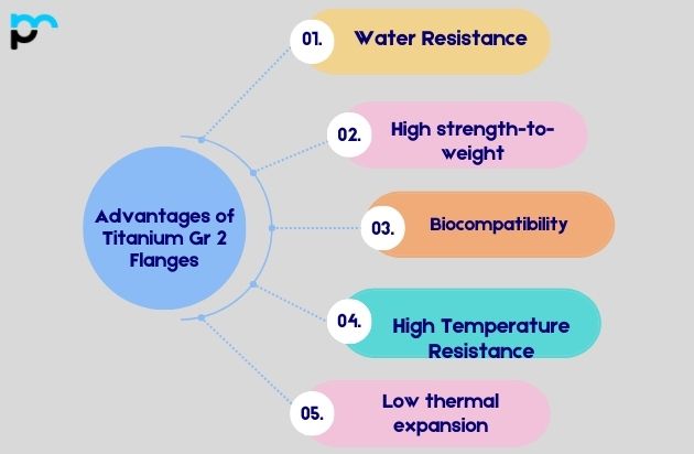 Advantages of Titanium Gr 2 Flanges