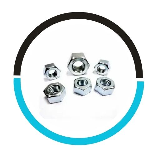 Hastelloy C22 Lock Nut in India
