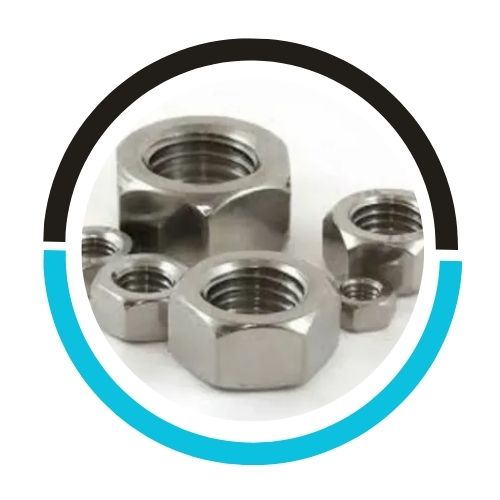 Hastelloy C22 Nut in India