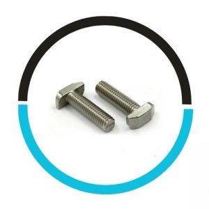 Nickel Alloy 200 T Bolt in UAE