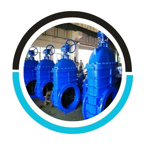 Resilient Seated Gate Valve in UAE